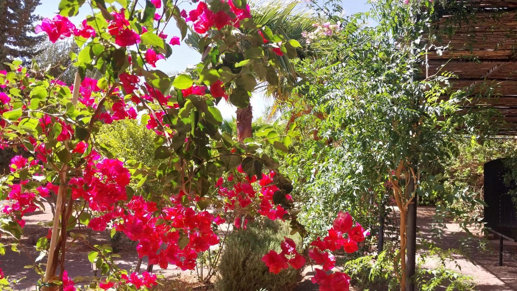Auberge Bassou เอ็นค็อบ ภายนอก รูปภาพ